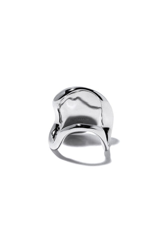 PELVIS CHUNK RING